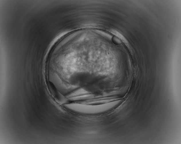 X0000086751043200705041423