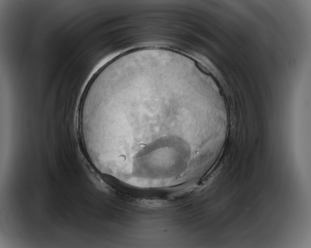 X0000086751044200705041423