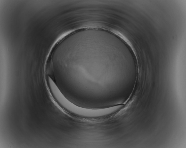 X0000086751045200705041423