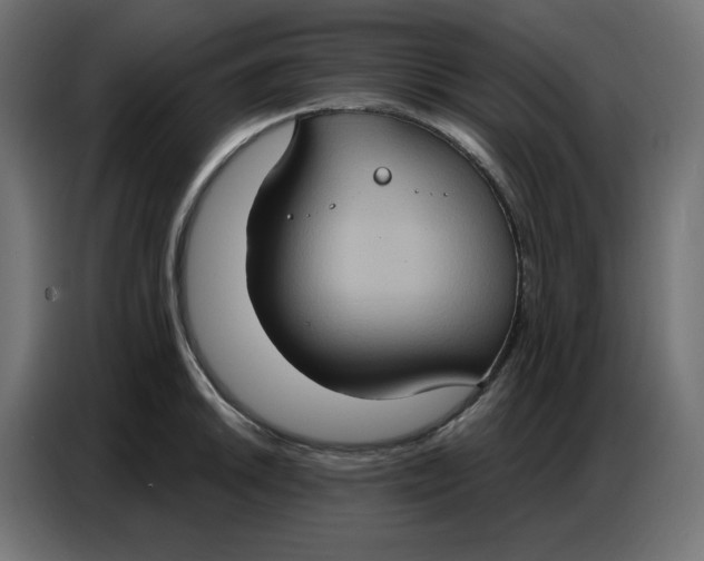 X0000086751046200705041423