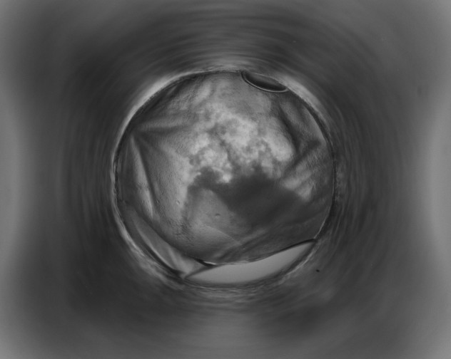 X0000086751047200705041423