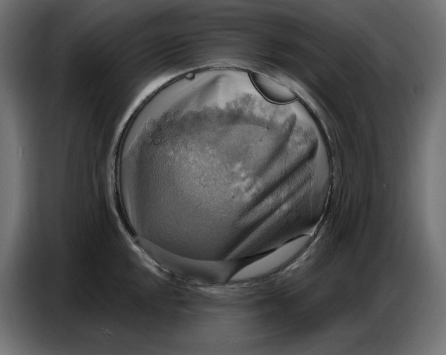 X0000086751048200705041423