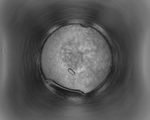 X0000086751049200705041423