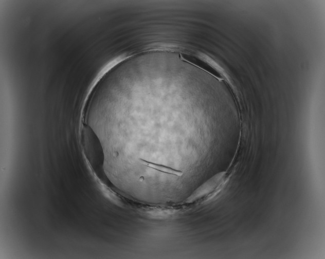 X0000086751050200705041423