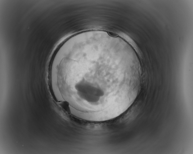 X0000086751051200705041423