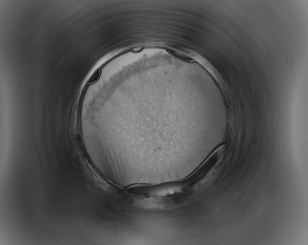 X0000086751052200705041423