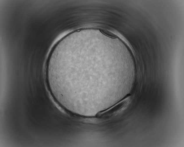 X0000086751053200705041423