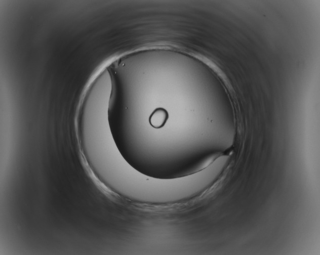 X0000086751054200705041423