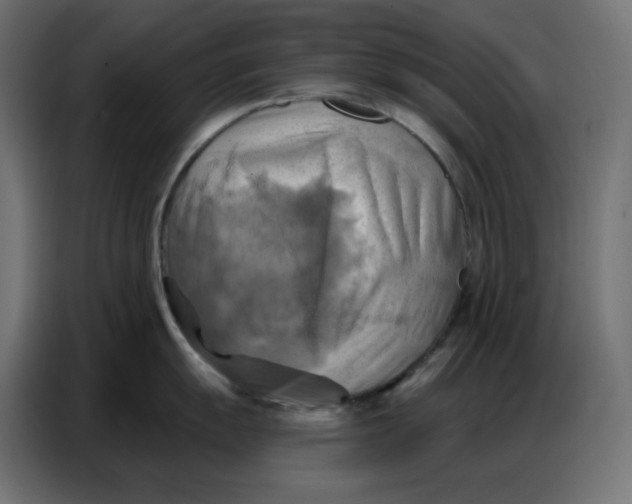 X0000086751055200705041423