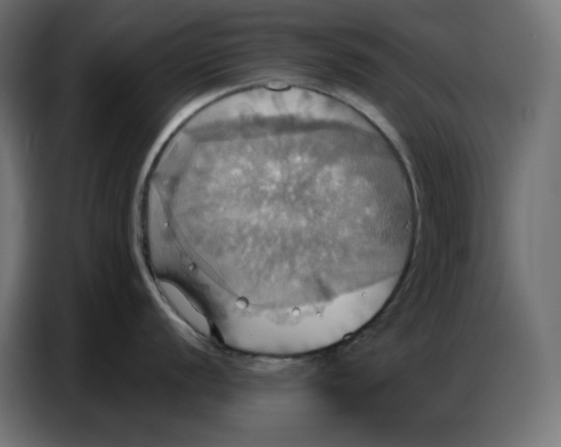 X0000086751056200705041423