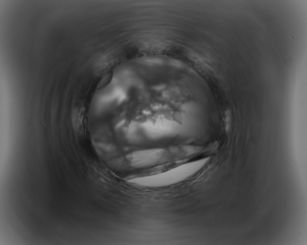 X0000086751059200705041423