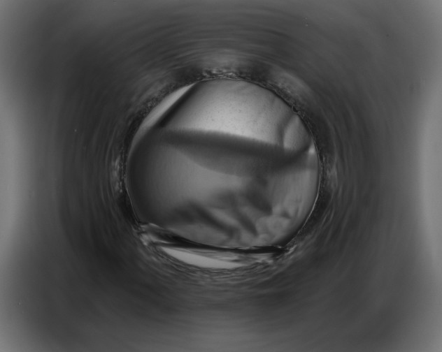 X0000086751060200705041423