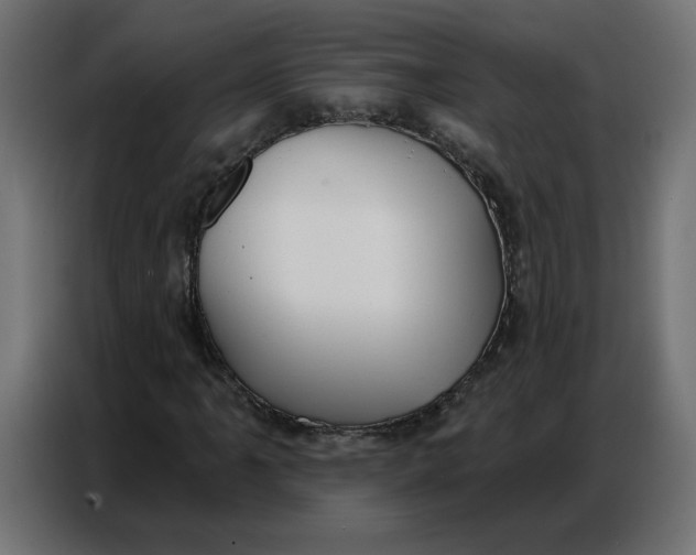 X0000086751061200705041423