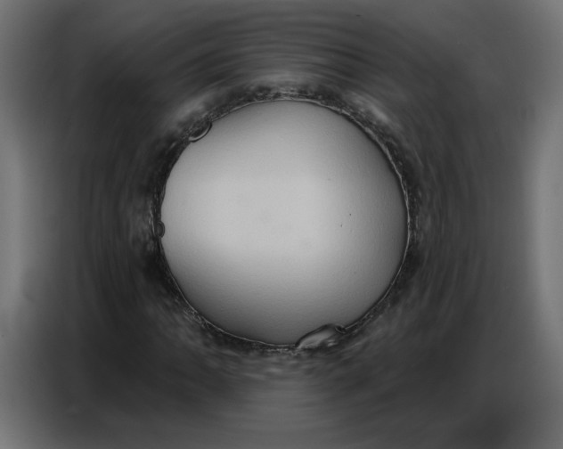 X0000086751062200705041423