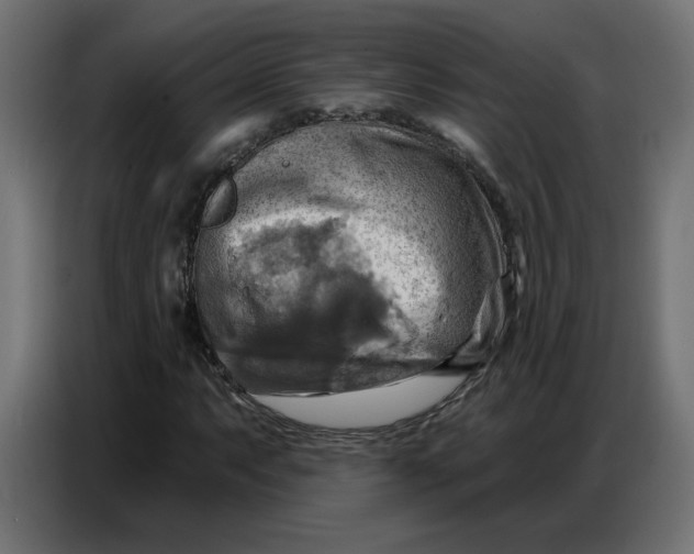 X0000086751063200705041423