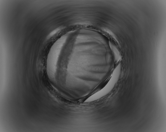 X0000086751064200705041423