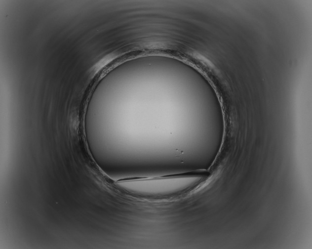 X0000086751065200705041423