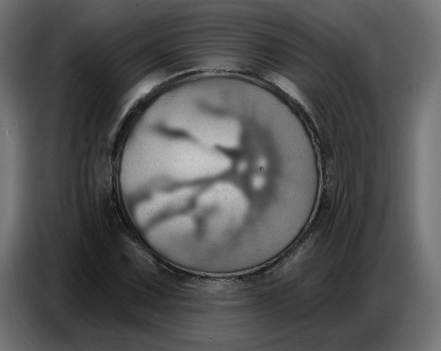 X0000086751067200705041423