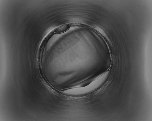 X0000086751068200705041423