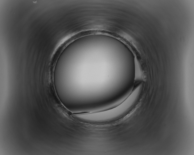 X0000086751069200705041423