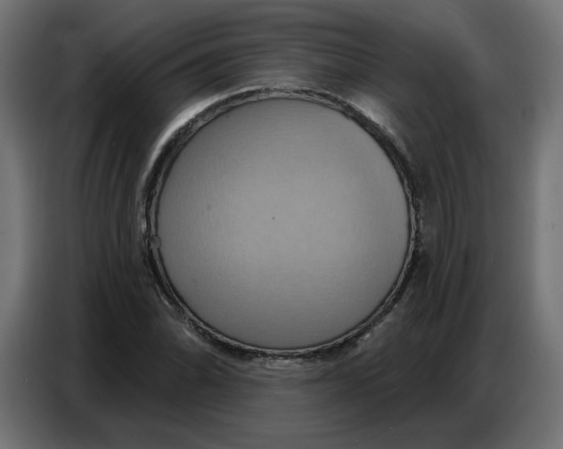 X0000086751070200705041423