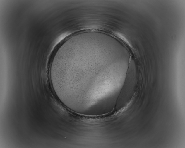 X0000086751071200705041423