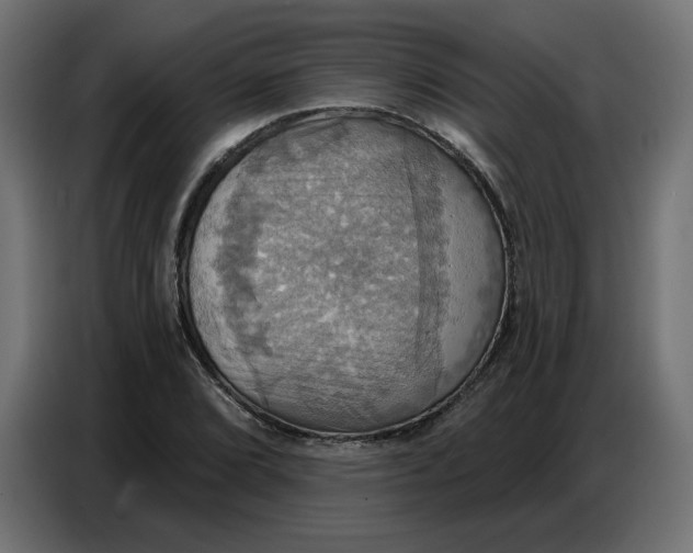 X0000086751072200705041423