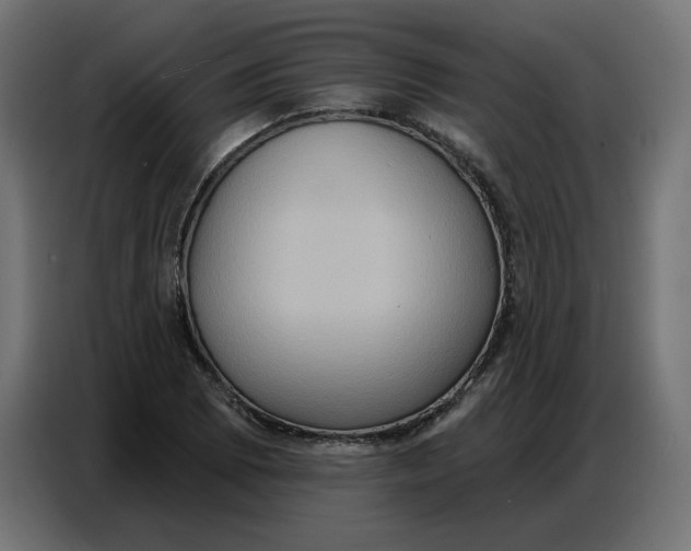 X0000086751073200705041423