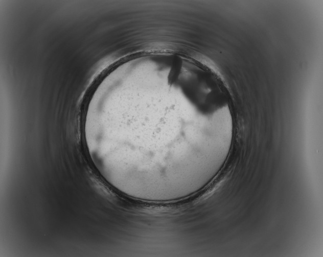 X0000086751075200705041423