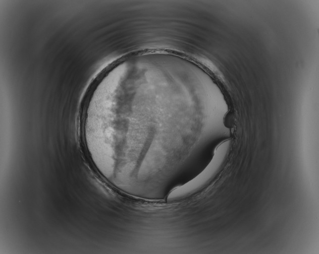 X0000086751076200705041423