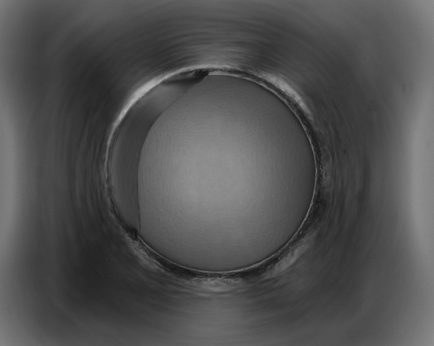 X0000086751077200705041423