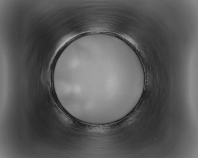 X0000086751078200705041423