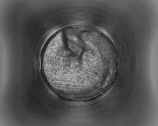 X0000086751079200705041423