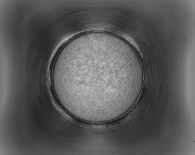 X0000086751080200705041423