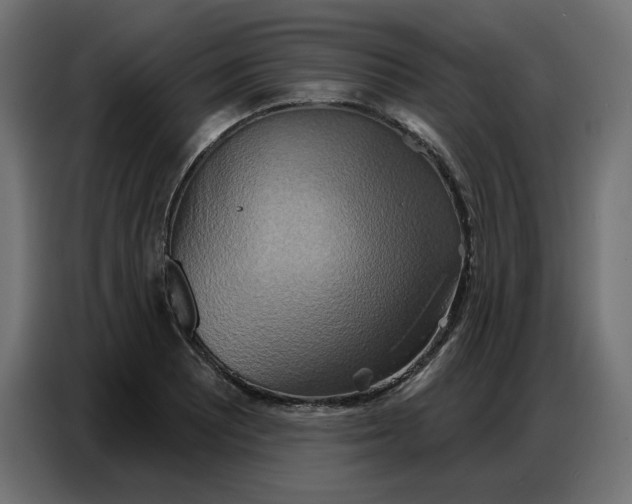 X0000086751081200705041423