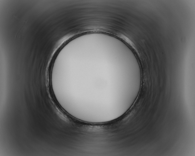 X0000086751082200705041423