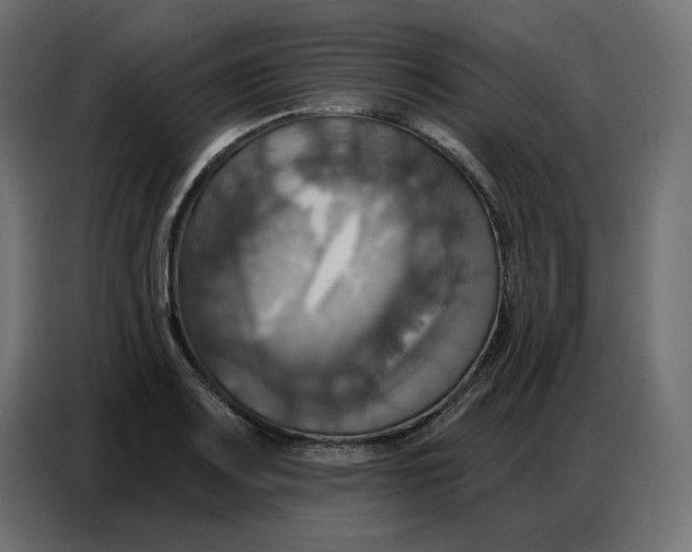 X0000086751083200705041423