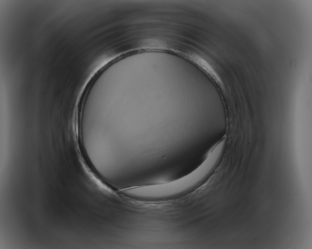 X0000086751084200705041423