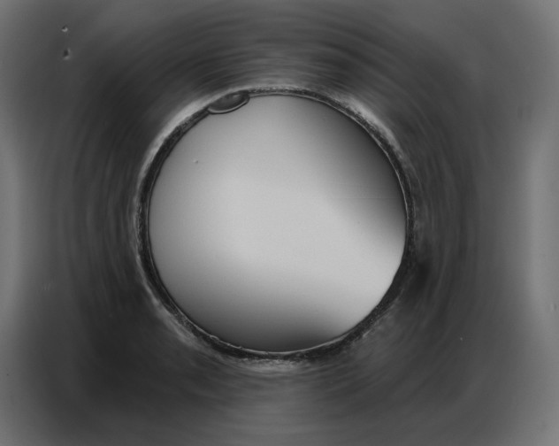 X0000086751085200705041422