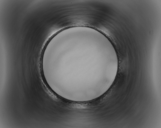 X0000086751086200705041422