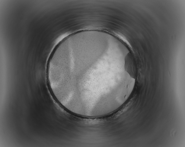 X0000086751087200705041422