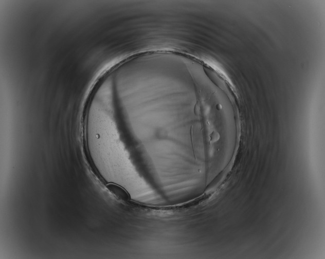 X0000086751088200705041422