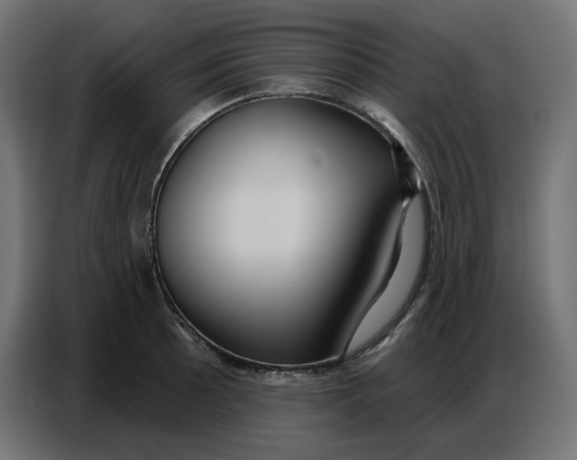 X0000086751089200705041422