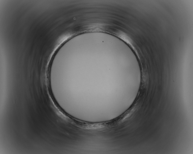 X0000086751090200705041422