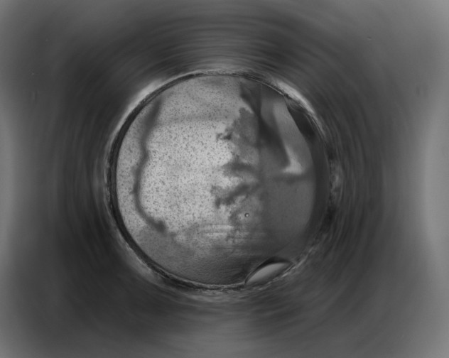 X0000086751091200705041422