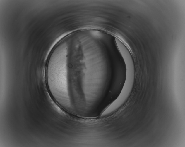 X0000086751092200705041422