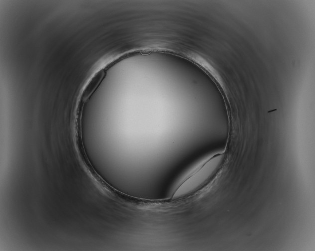 X0000086751093200705041422