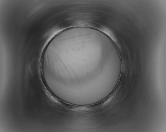 X0000086751094200705041422