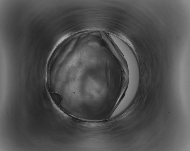 X0000086751095200705041422