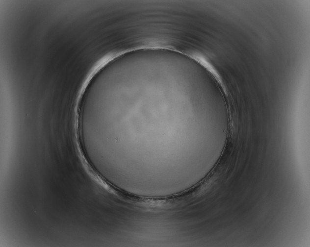 X0000086751096200705041422